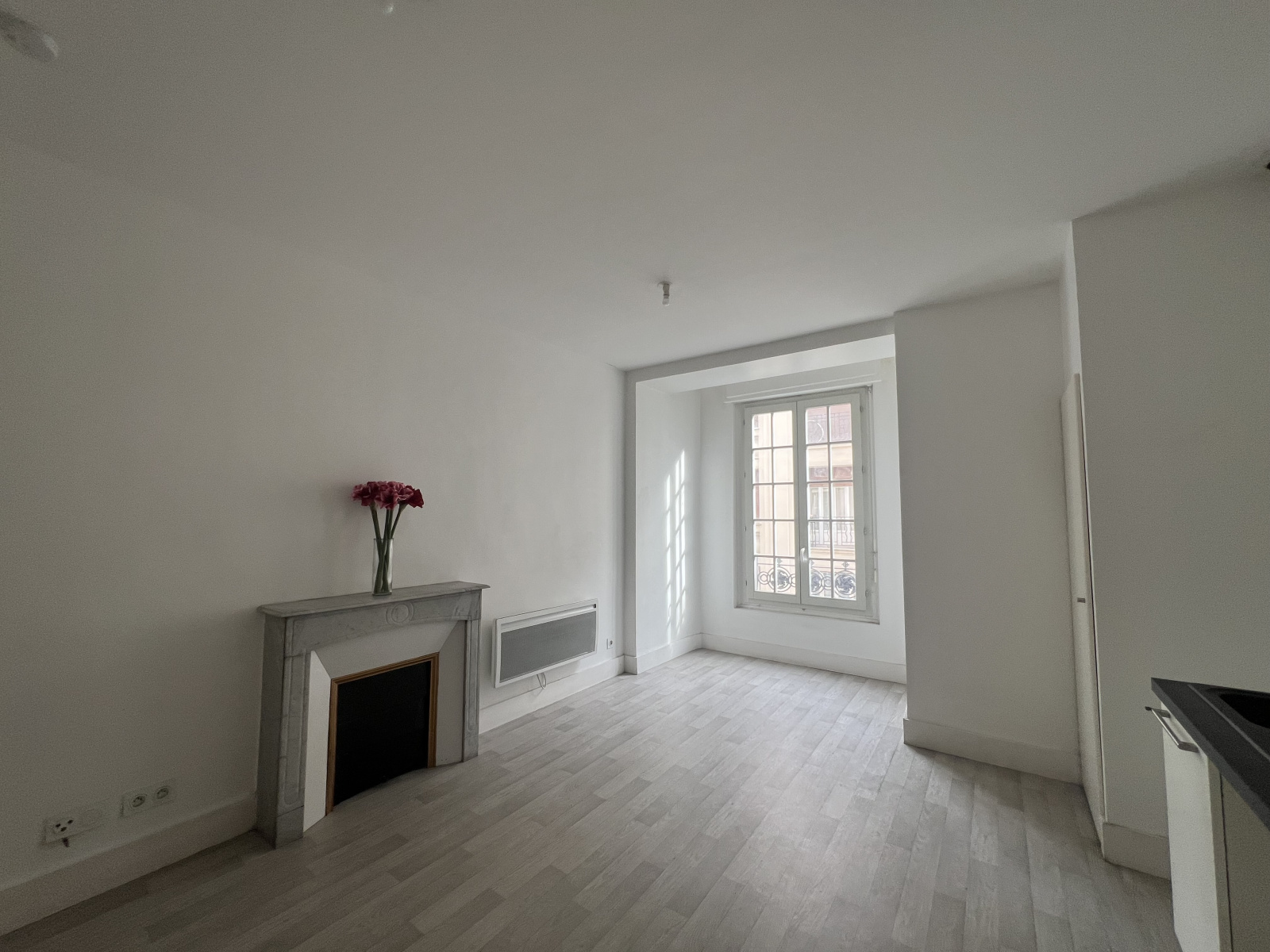 Image_, Appartement, Nice, ref :SMVAP50000203