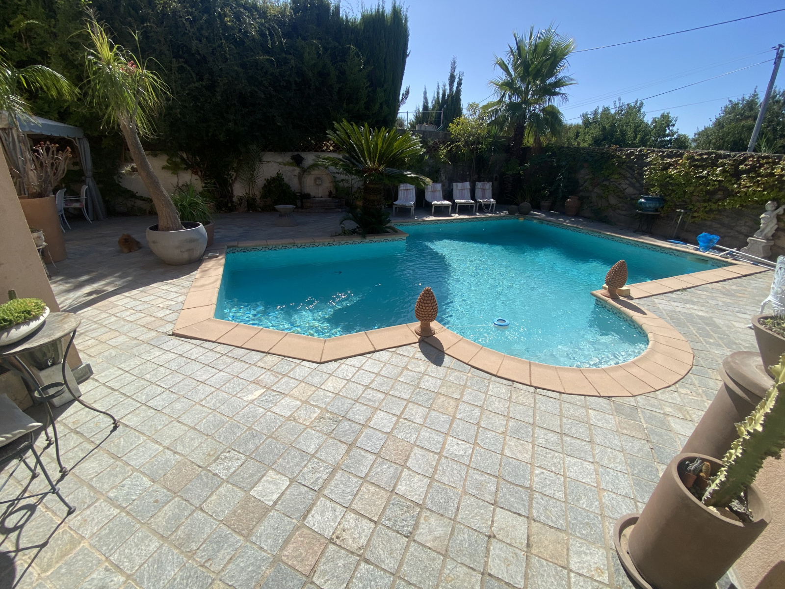 Image_, Maison, Nice, ref :SMVMA50000143