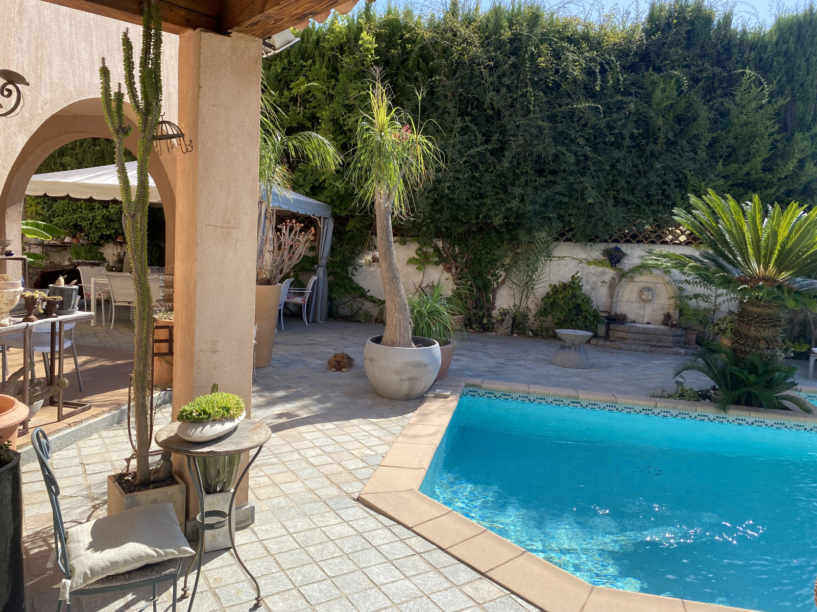 Image_, Maison, Nice, ref :SMVMA50000143