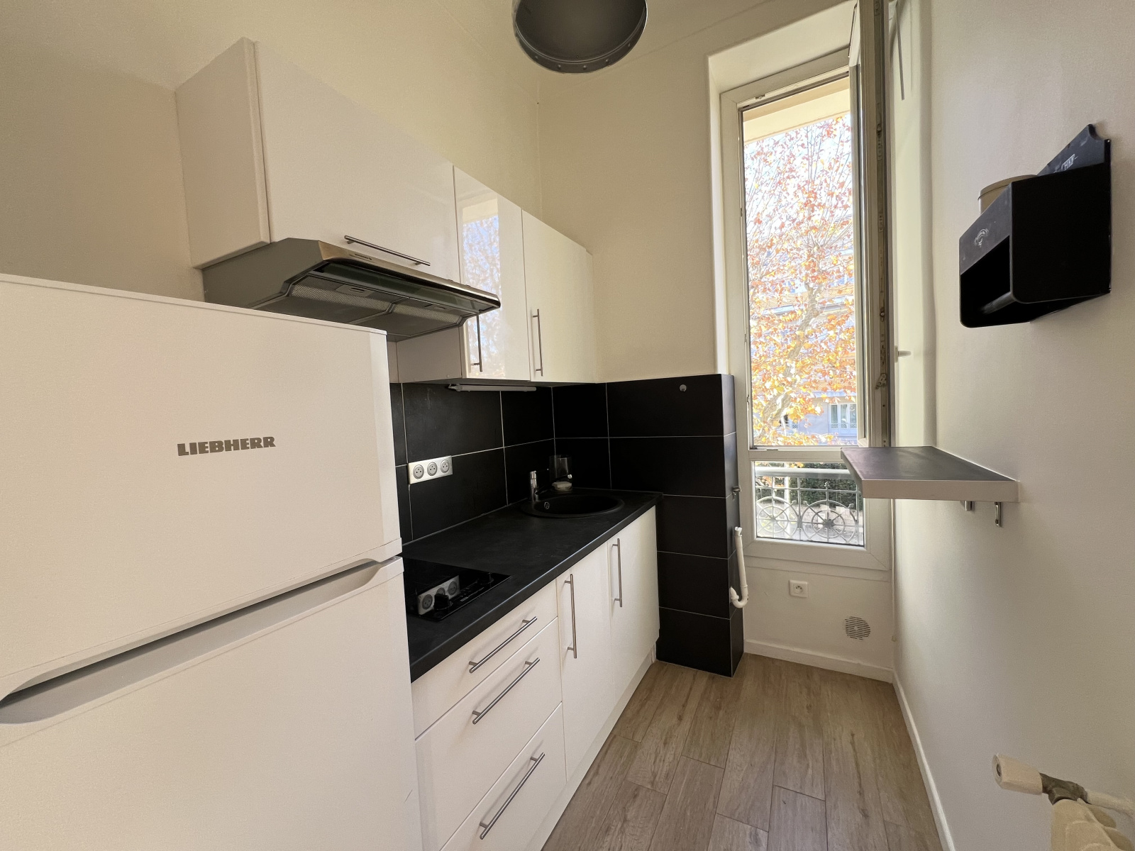 Image_, Appartement, Nice, ref :SMLAP50000205